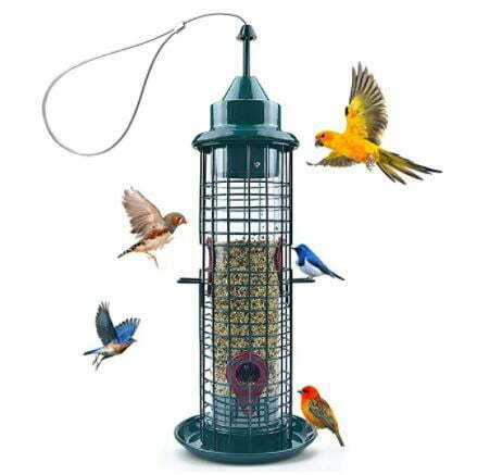 types of bird feeders: Green Caged Tube Bird Feeder