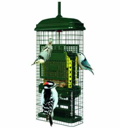 types of bird feeders: Suet Bird Feeder w/2 Suet Cake Trays